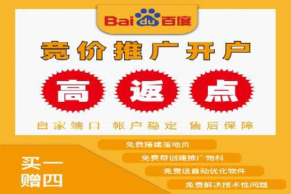竞价排名与用户体验的平衡案例
